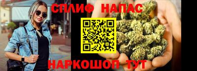 apvp Краснодар